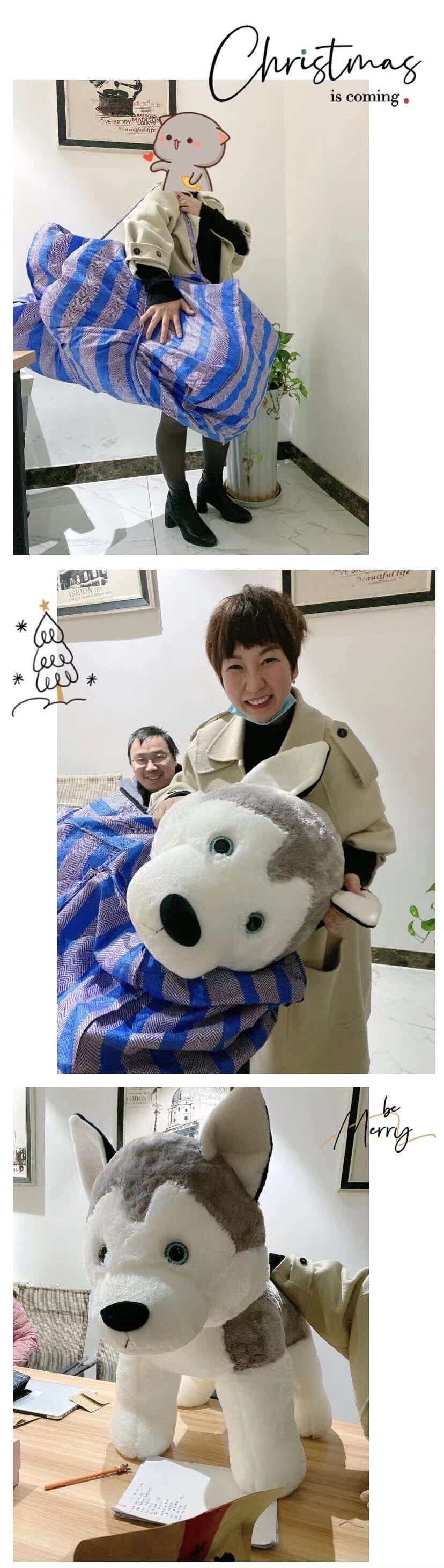 1611129508587358.jpg 9.jpg